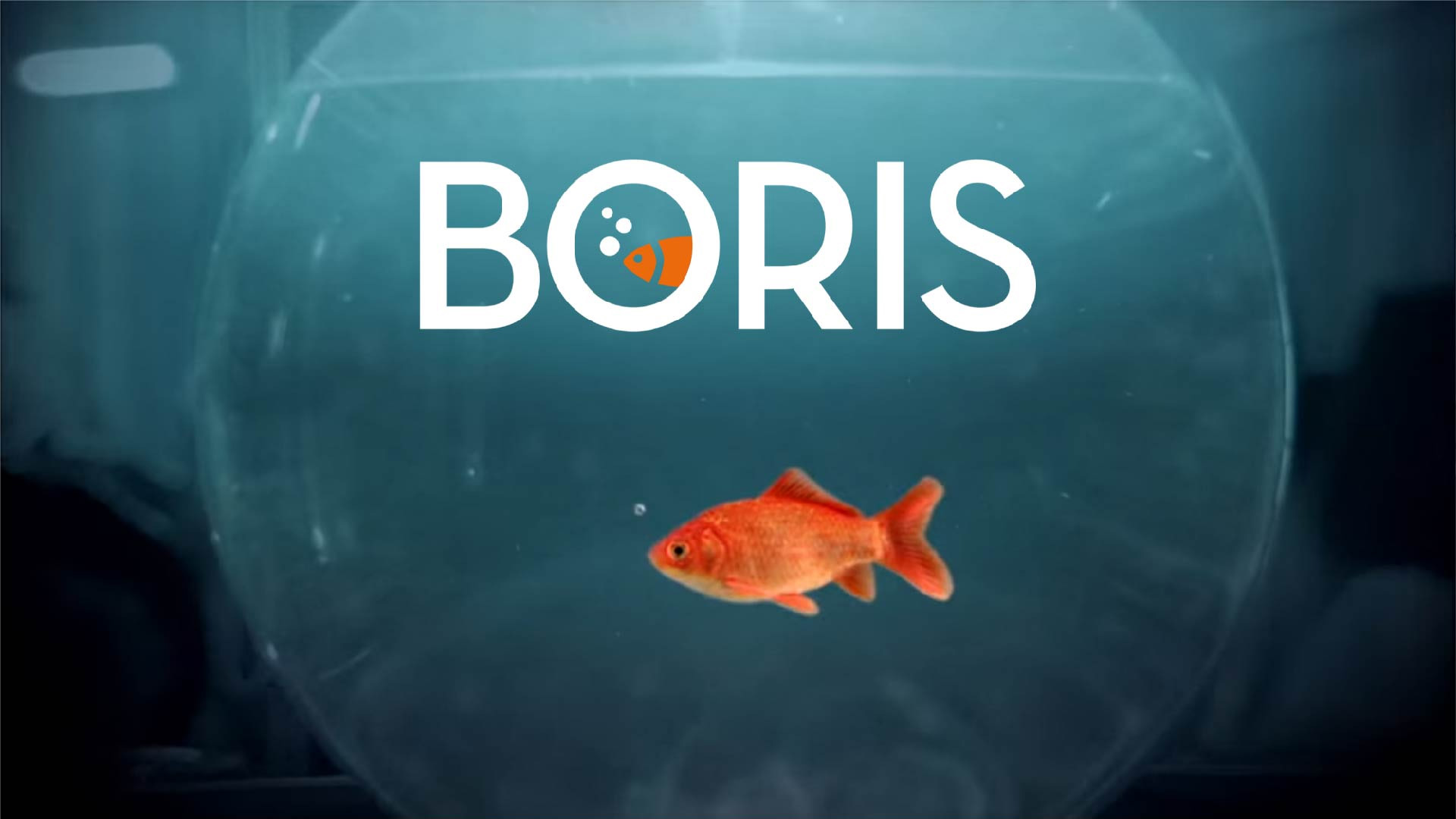 Boris